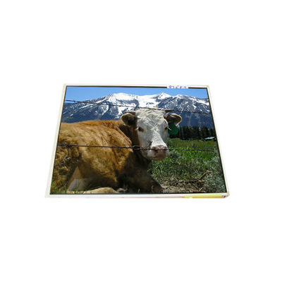 Buon prezzo LP121X1-A2M1 12,1 pollici 1024*768 Laptop Display LCD in linea