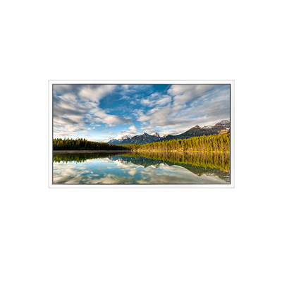 Buon prezzo 55 pollici DV550FHB-N30 1920*1080 schermo LCD per display trasparente in linea
