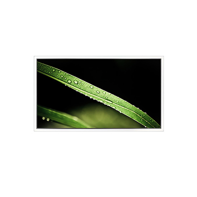 Buon prezzo 3840*2160 65 pollici DV650QUM-NV0 500 cd/m2 schermo LCD per video in linea