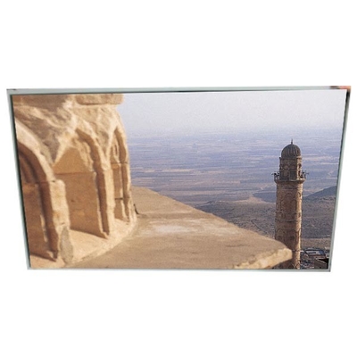 Buon prezzo LD650DUF-FGB1 Modulo LCD da 65,0 pollici FHD 16,7M in linea