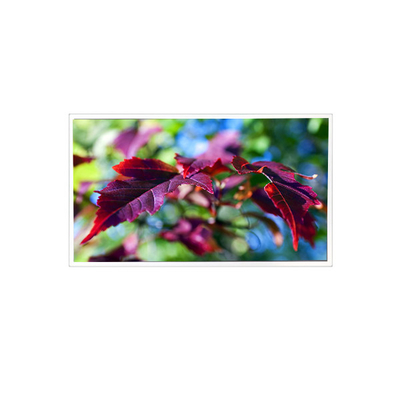 Buon prezzo TV116FHM-N00 1920*1080 11,6 pollici 60Hz 40 pin Monitor LCD in linea