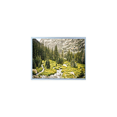 Buon prezzo 1280*800 10,1 pollici G101EAN02.A WLED 1000 cd/m2 schermo LCD in linea