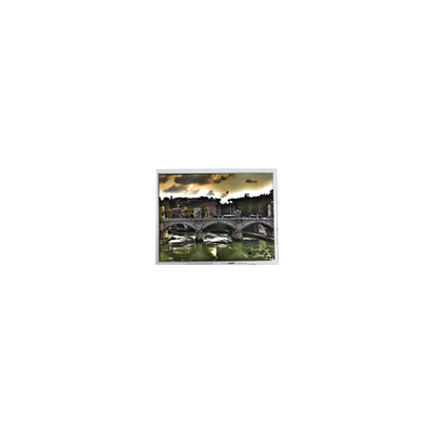 Buon prezzo Vendita a caldo 800*600 10,4 pollici PD104SLD 400:1 262K schermo LCD in linea