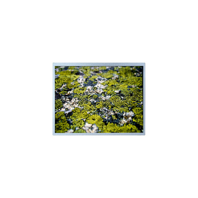 Buon prezzo 1024*768 12,1 pollici PD121XL9 4S6P WLED 60Hz schermo LCD in linea