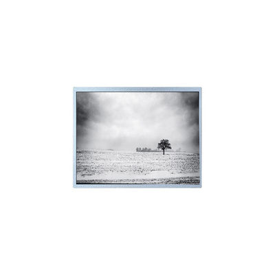 Buon prezzo nuovo PW080XU4 480*220 8,0 pollici 60Hz 30 pin LCD Screen Panel in linea