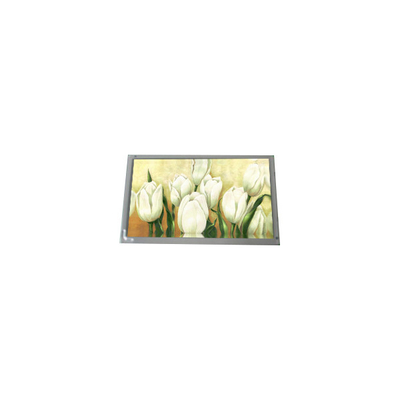 Buon prezzo AM-800600GTMQW-02H 800*600 8,0 pollici 20 pin LVDS Pannello schermo TFT-LCD in linea