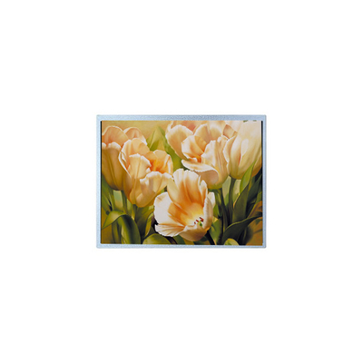 Buon prezzo 9.0 pollici 1024*600 AM-1024600Y2TZQW-A0H TFT 1200 cd/m2 Pannello LCD in linea