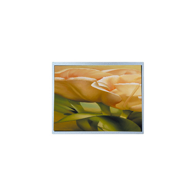 Buon prezzo AM-1024600Y3TZQW-A0H 9.0 pollici TFT LCD Screen Panel Industrial in linea