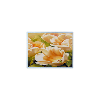 Buon prezzo 1024*600 AM-1024600Y3TZQW-A1H 9,0 pollici TFT 300 cd/m2 Parti di schermo LCD in linea