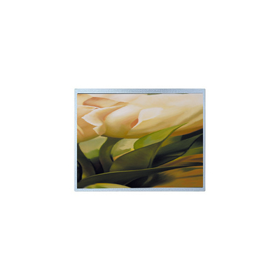 Buon prezzo AM-1024600YTZQW-00H 1024*600 9,0 pollici TFT 500 cd/m2 Pannello LCD in linea