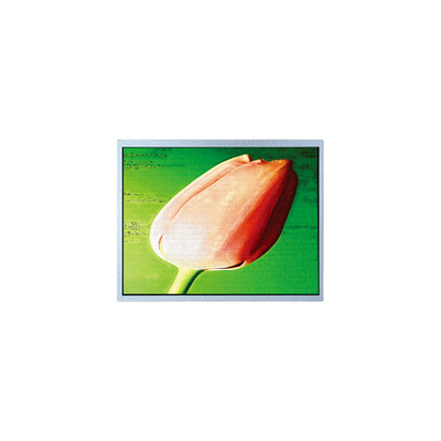 Buon prezzo Display LCD originale da 10,4 pollici AM-1024768T1TMQW-T00H TFT 262K in linea
