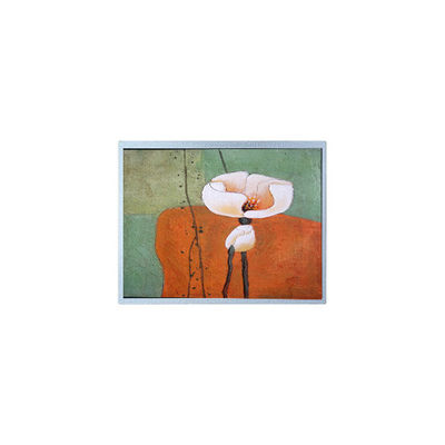 Buon prezzo 15.5 pollici AM-19201080F1TZQW-A0 pannello schermo LCD per alta luminosità esterna in linea