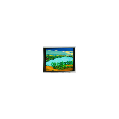 Buon prezzo DMF-50316NF-FW-1 240*64 5,2 pollici 130 cd/m2 schermo LCD in linea