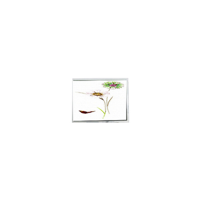 Buon prezzo Nuovo monitor LCD touch screen da 2,8 pollici in linea