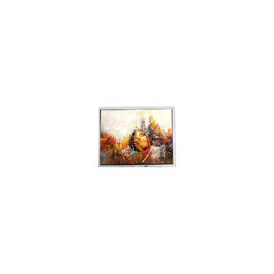 Buon prezzo Piccolo pannello LCD da 640*480 COM57H5M86KLC da 5,7 pollici 45 pin 60Hz in linea