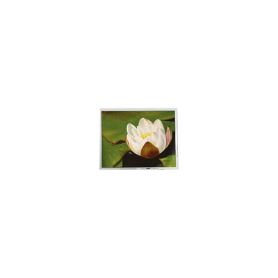 Buon prezzo 640*480 5,7 pollici COM57H5M87KTC 262K 60Hz LCD touch display in linea