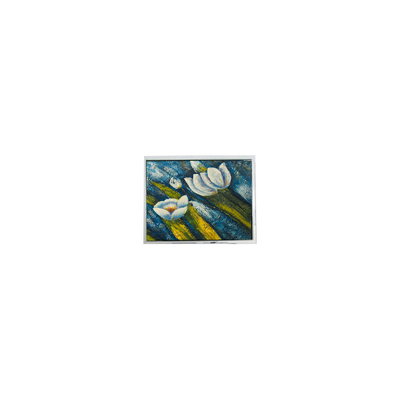 Buon prezzo monitor LCD touch di alta qualità 640*480 COM57H5N28XTC da 5,7 pollici in linea
