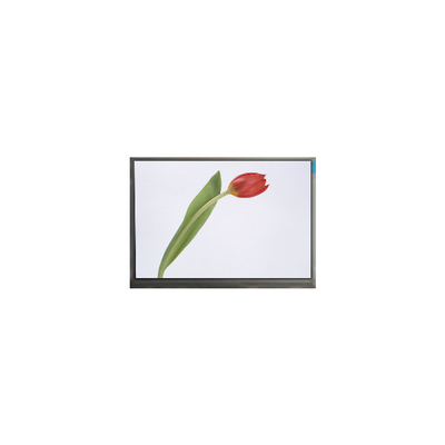 Buon prezzo M070SWP1 R0 7,0 pollici 800*480 schermo LCD TFT Display del pannello in linea