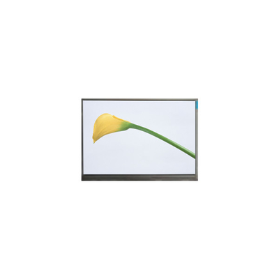 Buon prezzo 800*480 M070SWP1 R3 7,0 pollici 50 pin TFT schermo LCD Monitor in linea