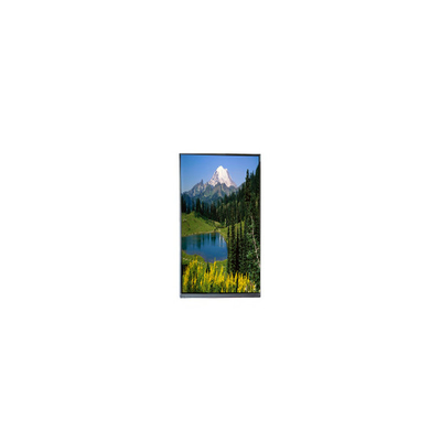 Buon prezzo Display LCD TFT originale da 800*1280 10,1 pollici M101GWWC R5 PER Tablet in linea