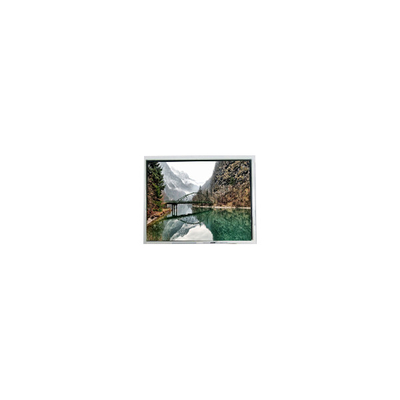 Buon prezzo 800*480 7.0 pollici FG0700GEDUSWMGT1 400 cd/m2 LCD Touch Panel in linea