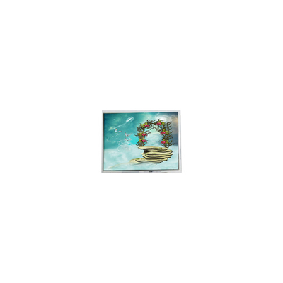 Buon prezzo TFT1N5918 6,9 pollici 800*480 LVDS schermo LCD in linea