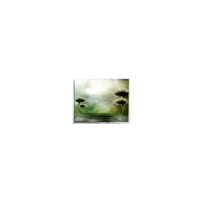 Buon prezzo 10.4 pollici TFT1P1799-E 960*1280 schermo LCD per automotive in linea