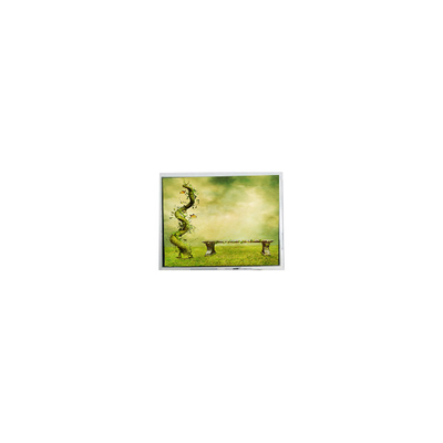 Buon prezzo TFT7D0179 600*1024 schermo LCD originale da 7,0 pollici in linea