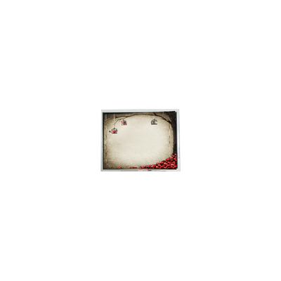 Buon prezzo TFT9D6672 6,9 pollici 800*480 600:1 parti di moduli LCD in linea