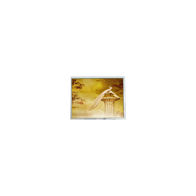 Buon prezzo TFT1920720-1 12,3 pollici componenti dello schermo del modulo LCD in linea