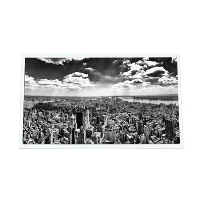 Buon prezzo VENDITA A CALDO schermo LCD da 21,5 pollici P215HZN02.0 PER segnaletica digitale in linea