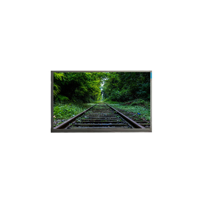 Buon prezzo N160GLE-GT1 2560*1600 16,0 pollici 165Hz LCD Screen Laptop in linea
