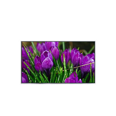 Buon prezzo B116HAT01.0 11.6 pollici originale LCD del pannello del portatile in linea