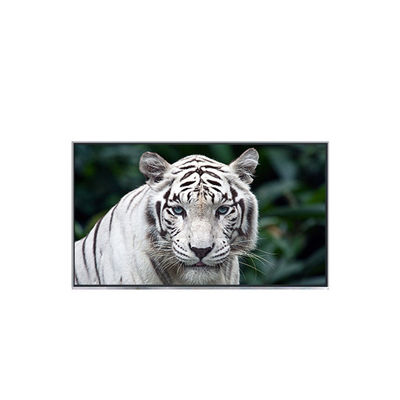 Buon prezzo B121EW05 V2 12,1 pollici nuovo arrivo schermo LCD per laptop in linea