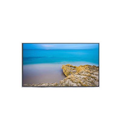 Buon prezzo Produttore di schermi LCD da 12,1 pollici in linea