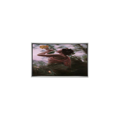 Buon prezzo P420HVN02.0 Modulo LCD Display LCD da 42,0 pollici 1920*1080 in linea