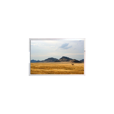 Buon prezzo Display LCD TFT7D0906-A 6.3 pollici Pannello modulo LCD in linea