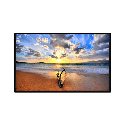 Buon prezzo Display LCD da 10,1 pollici in linea