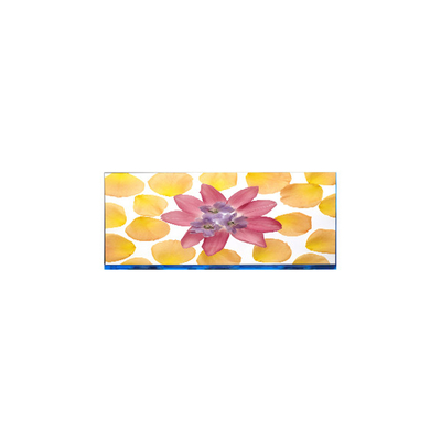 Buon prezzo E102AWF6 R1 10,2 pollici 1920*532 schermo LCD in linea