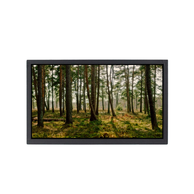 Buon prezzo NV160WUM-N41 Display a schermo LCD da 16,0 pollici per laptop in linea