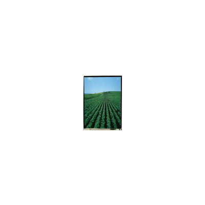 Buon prezzo 5.0 pollici LS050T3SX09 1080*1920 Display LCD per telefono cellulare in linea