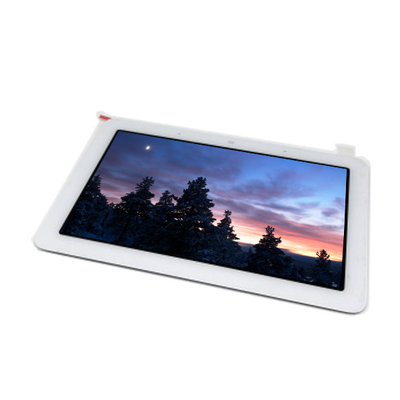 Buon prezzo Nuovo display LCD da 7,0 pollici TV070WSM-TG1 600*1024 in linea