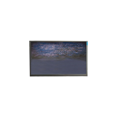 Buon prezzo U055SWRA-1 pannello LCD da 5,5 pollici 720*1440 modulo di visualizzazione LCD in linea