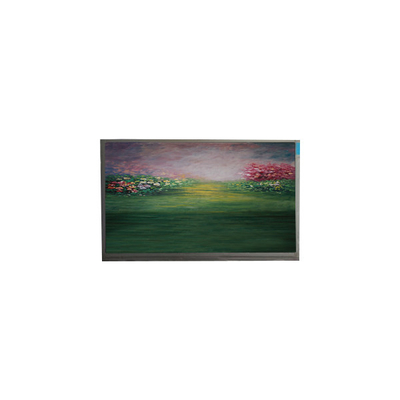 Buon prezzo schermo LCD per modulo LCD R133NWF4 RB da 13,3 pollici in linea
