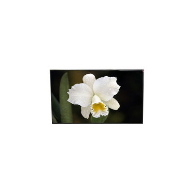 Buon prezzo Display LCD TFT da 12,5 pollici LP125WF4-SPQ1 originale in linea