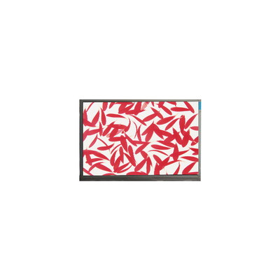 Buon prezzo C116NWR5-0 11,6 pollici 1366*768 schermo LCD TFT in linea