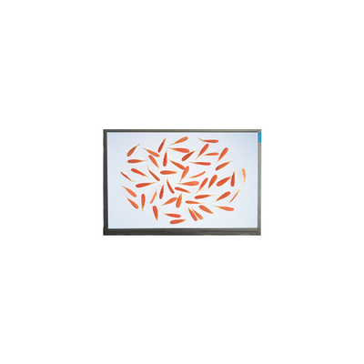 Buon prezzo C116NWR4-0 11,6 pollici 1366*768 IPS schermo LCD in linea