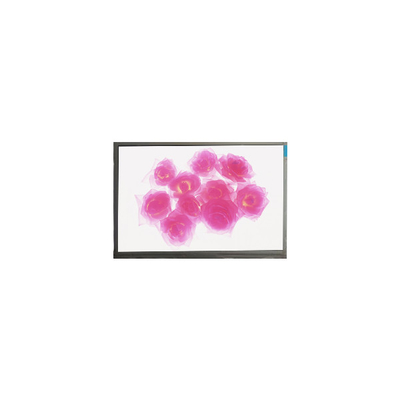 Buon prezzo F116NWR4-0 11,6 pollici 1366*768 schermo LCD in linea