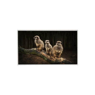 Buon prezzo HR236WU1-310 23.6 pollici 1920*1080 schermo LCD TFT pannello LCD in linea