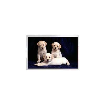 Buon prezzo TM190MFS02 originale 19,0 pollici 1440*900 schermo LCD in linea